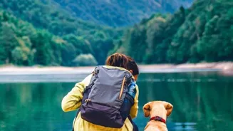 Travel Safely With Your Pets!