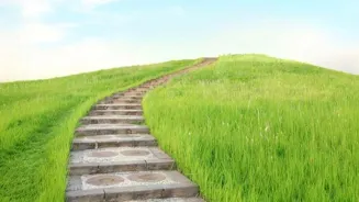 Achieve Financial Freedom in Seven Steps