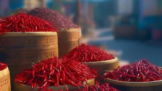 Top 10 Culinary Adventures Await You!