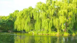 Reduce Stress and Improve Your Life Now.