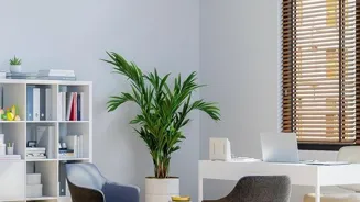 Go Green: 10 Tips for a Sustainable Office
