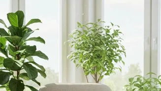 7 Home Decor Ideas for Instant Stress Relief