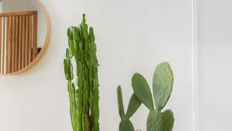Save the Planet: 7 Eco-Friendly Home Hacks