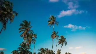 Want Stress-Free Travel? Read These Tips!