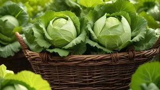 Grow Your Own Herbs for Happiness at Home!