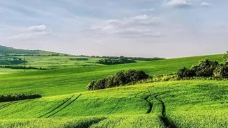 New Farming Methods Can Feed the World