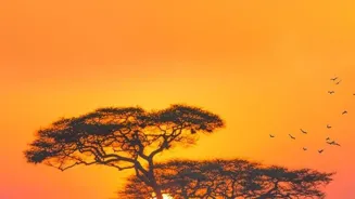 See the Top 10 Spots for Wildlife Encounters