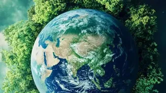 Reduce Your Business's Environmental Impact Now