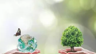 Sustainable Strategies Can Boost Your Business