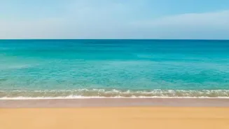 Discover Fascinating Facts About Water