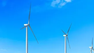 Eco-Friendly Business Can Lead To Success.