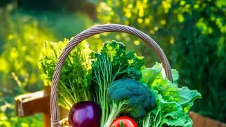 Grow Your Own Vegetables And Win!