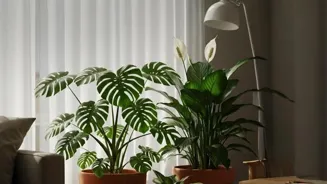 Go Green: Eco-Friendly Tips for Your Home