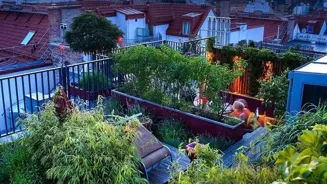 Urban Gardens: Grow Wild in the City!