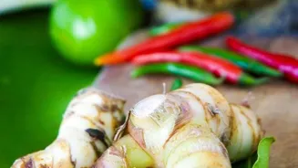 Savor Delicious Food Adventures on Your Trip!