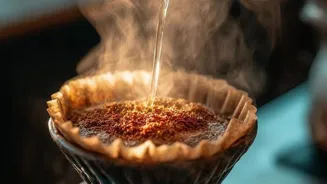Coffee's Journey: From Bean to Brilliant Brew