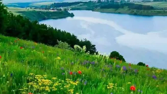 Find Joy Daily With These 7 Mindful Secrets