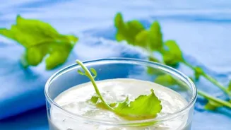 Raita: A Delicious Dip You Need To Try!