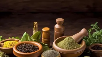 Learn the Basics of Indian Cooking Now