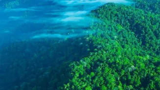 Discover Top Wildlife Hotspots Worldwide