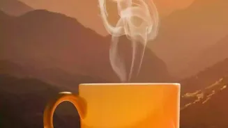 Brew Authentic Indian Tea For a Magical Taste