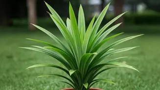 Plan Green Steps for Sustainable Success
