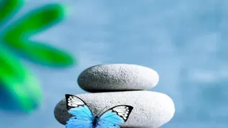 Daily Mindfulness Can Transform Your Life