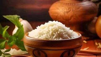 Easy Indian Recipes for Beginner Cooks!