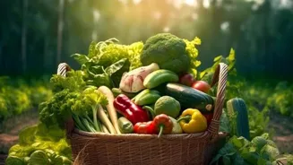 Grow Organic Veggies: 6 Expert Tips Inside