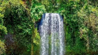 Nature's Hidden Havens Are Being Discovered