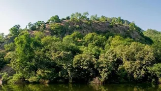 Explore India's Amazing Wildlife Sanctuaries!