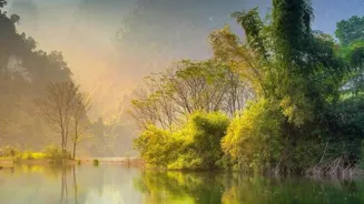 Meditate for Inner Peace Find Seven Reasons