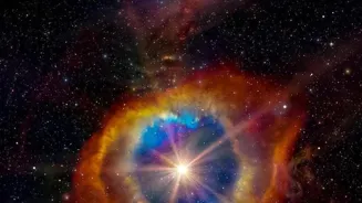 Where Do Cosmic Rays Come From?