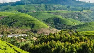 Travel Cheap: Thrifty Tips For Your Next Trip