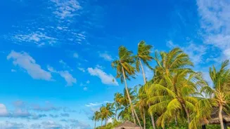 Plan Your Best Family Vacation Now!
