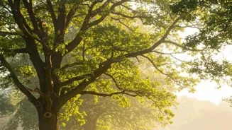 Boost Your Sanity: 7 Quick Mindfulness Tips
