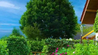 Make Your Space Green in 7 Steps!