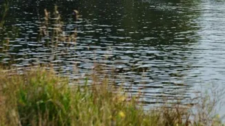Find Happiness: Six Simple Steps to a Better You