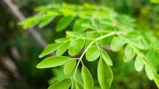 Go Green: 7 Easy Steps to Eco-Efficiency