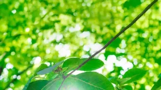 These 8 Companies Champion Eco-Friendly Change