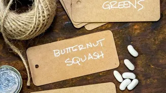 Understanding Food Labels: A Nutrition Guide
