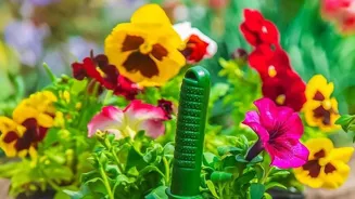 Avoid Gardening Mistakes For Better Blooms