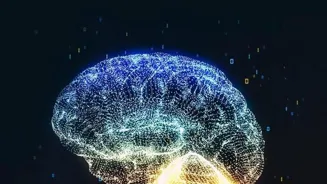 Mental Exercise Boosts Clarity
