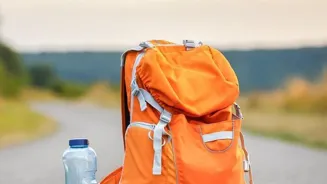 Travel Green: Sustainable Swaps for Your Trip