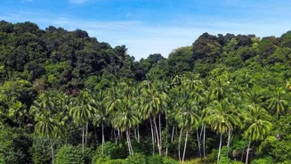 Discover Paradise on Tropical Island Getaways
