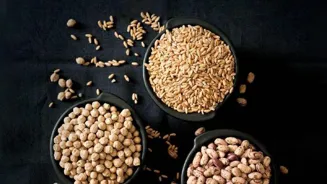 Plants Offer a Powerful Protein Source.