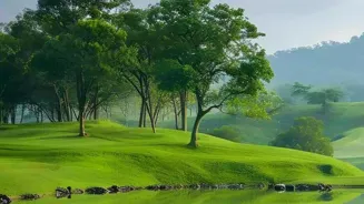 Mindfulness Improves Mental Well-being