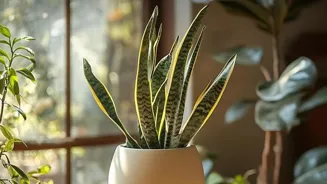 Grow Indian Plants Indoors: 7 Hacks to Thrive
