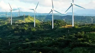 Go Green: Sustainable Business Solutions Work