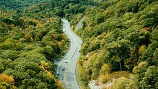 Discover Scenic Road Trip Treasures This Summer.